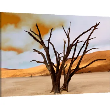 Obraz Obraz na plátně Strom a poušť , jednodílný 1518AX