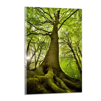 Obraz Obraz na plátně Strom , jednodílný 1402AX