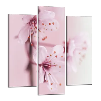 Obraz Obraz na plátně Růžové květy , třídílný 2812CY