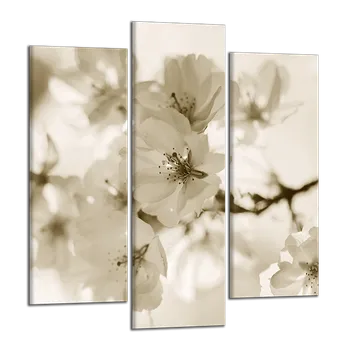 Obraz Obraz na plátně Květy , třídílný 2122CY