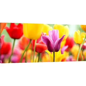 Obraz Obraz na plátně Tulipány , jednodílný 1056AZ