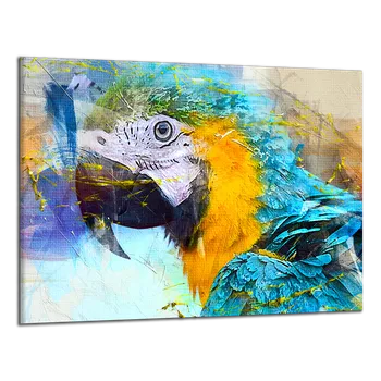Obraz Obraz na plátně Barevný papoušek , jednodílný 3012AX