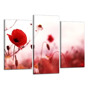 Obraz Obraz na plátně Vlčí máky , třídílný 1264CX
