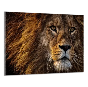 Obraz Obraz na plátně Lev detail , jednodílný 3025AX