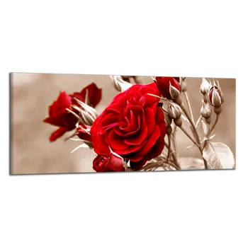 Obraz Obraz na plátně Růže , jednodílný 1030AZ