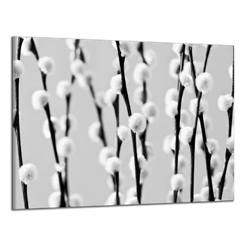 Obraz Obraz na plátně Kočičky , jednodílný 1100AX