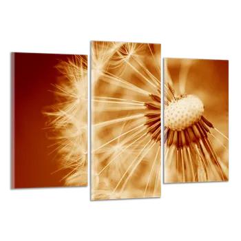 Obraz Obraz na plátně Pampeliška , třídílný 2077CX