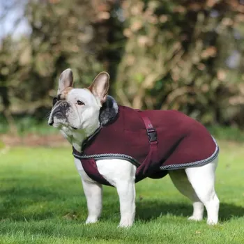 Deka pro koně Deka na psa Bucas Show-Line Kolekce 2025