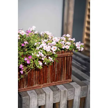 Truhlík Vingo Březový truhlík hranatý, 50 x 20 cm