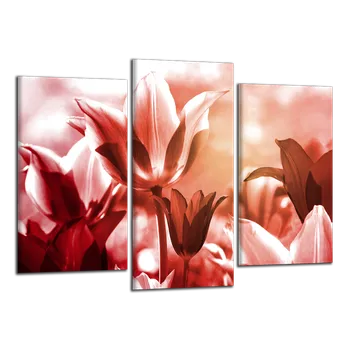Obraz Obraz na plátně Tulipány , třídílný 2512CX