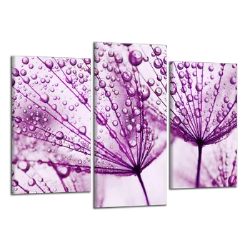 Obraz Obraz na plátně Pampelišky , třídílný 2154CX