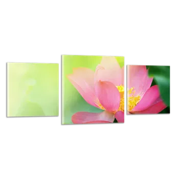 Obraz Obraz na plátně Jasmín , třídílný 1085CZ