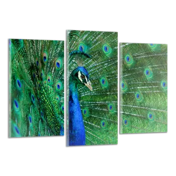 Obraz Obraz na plátně Páv , třídílný 1406CX