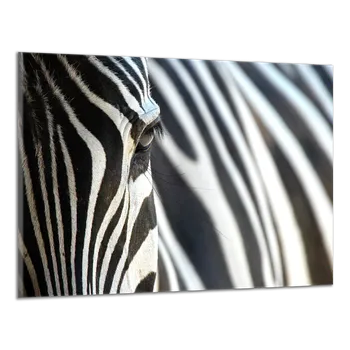 Obraz Obraz na plátně Zebry , jednodílný 1152AX