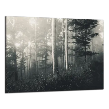 Obraz Obraz na plátně Les , jednodílný 2836AX