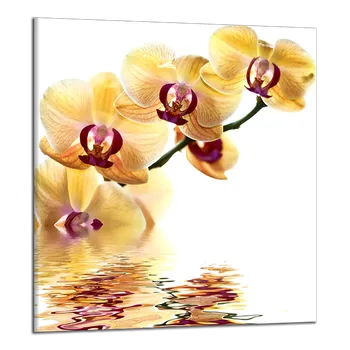 Obraz Obraz na plátně Orchideje , jednodílný 1194AY
