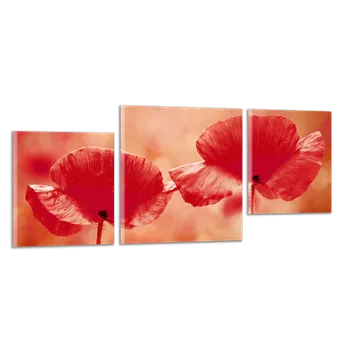 Obraz Obraz na plátně Vlčí máky , třídílný 2267CZ