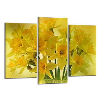 Obraz Obraz na plátně Narcisy , třídílný 2911CX