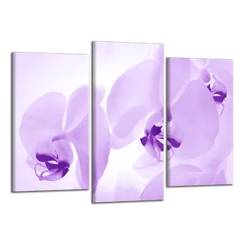 Obraz Obraz na plátně Orchideje , třídílný 1286CX