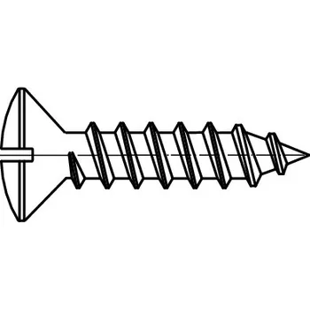 Šroub PROFISTYL DIN 7973C šroub do plechu s čočkovou hlavou a průběžnou drážkou (ostrá špička) nerez A2 Varianta: DIN 7973C samořezný šroub s čočkovou hlavou s drážkou nerez A2 3,9x19
