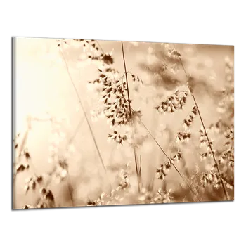 Obraz Obraz na plátně Klasy , jednodílný 1532AX