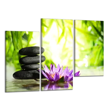 Obraz Obraz na plátně Kameny a leknín , třídílný 1393CX