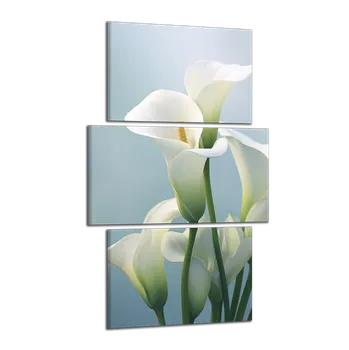 Obraz Obraz na plátně Bílé kaly , třídílný 3185CX