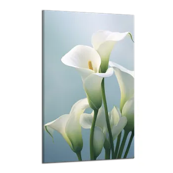 Obraz Obraz na plátně Bílé kaly , jednodílný 3185AX