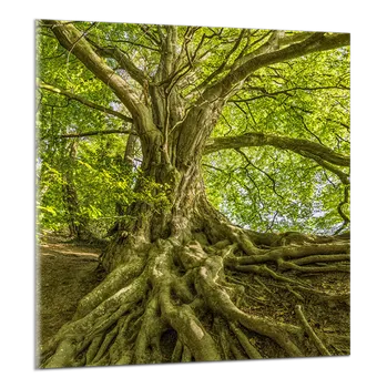 Obraz Obraz na plátně Strom , jednodílný 2992AY