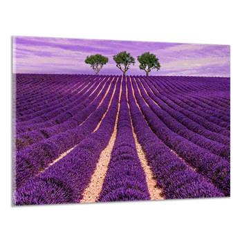 Obraz Obraz na plátně Provence , jednodílný 1281AX