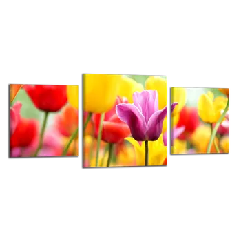 Obraz Obraz na plátně Tulipány , třídílný 1056CZ