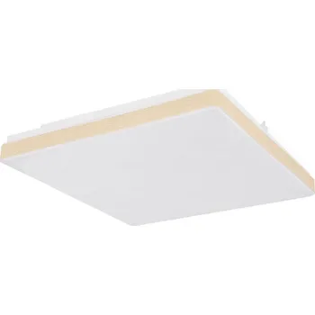 Globo 48296W - LED Stropní svítidlo RAINA LED/12W/230V