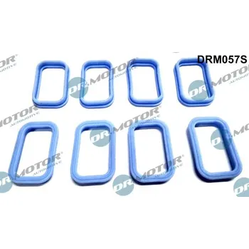 Těsnění motoru Sada těsnění, koleno sacího potrubí Dr.Motor Automotive DRM057S
