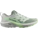 Salomon Sense Ride 5 W L47314100