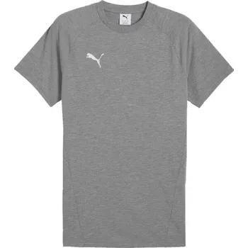 Pánské oblečení Pánské triko Puma TEAMEVOSTRIPE TEE M Šedá, Bílá