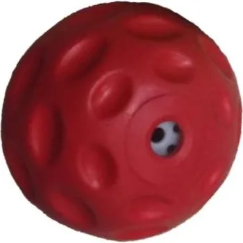 Hračka pro psa Hračka pes - plovací míček se zvukem