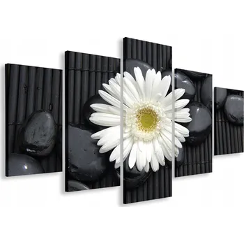 Obraz OBRAZ DO OBÝVÁKU BÍLÝ KVĚT 200x120 VELKÝ