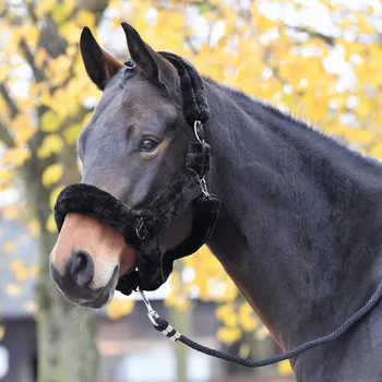 BUSSE Ohlávka Guard BUSSE, s beránkem, černá PONY