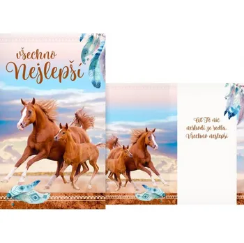 MFP M11-505 T přání k narozeninám 20 let koně 3