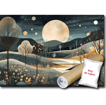 Fototapeta VINYLOVÁ FOTOTAPETA KRAJINA NOC POHÁDKA 368x254