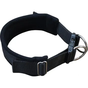 Obojek pro psa Obojek popruh podšitý 45 - 55 x 4 cm