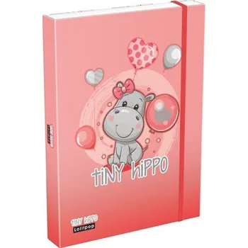 Set školních potřeb box na sešity A4 Lollipop Thiny Hippo 24