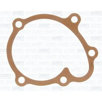 Automobilové těsnění Těsnění, vodní čerpadlo AJUSA 00833600