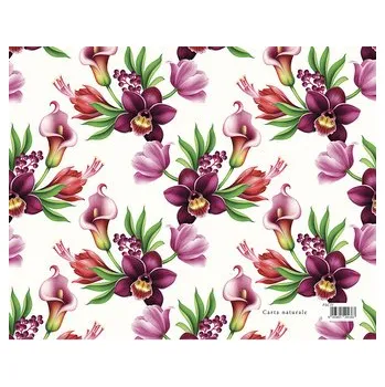 Papír Dárkový balicí papír FLORENTIA 70x100 cm - fialové květy