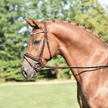 Věšák na sedlo a uzdečku BUSSE Uzdečka Matera BUSSE, hazel/crystal COB