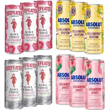Likér RTD Letní Párty Set Beefeater & Absolut 12×0,25l