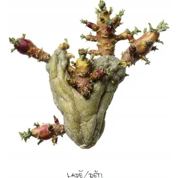 Česká hudba Ladě: Děti - CD