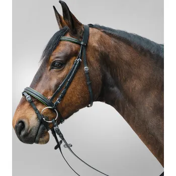 Věšák na sedlo a uzdečku Uzdečka Star Diamond Waldhausen, green COB