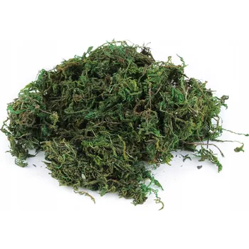 Obraz Dekorativní přírodní mech Stoklasa 250 g