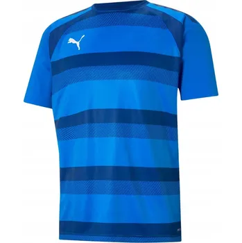 Pánské tričko Tričko Puma teamVISION Jersey modré 704921 02 M